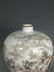 Pair of Qing Porcelain Famille Rose Vase - 3