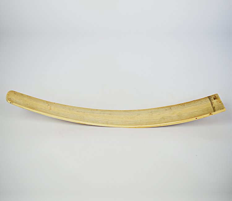 Ming Dynasty Chinese Ivory Hu: Ming Dynasty Ivory Hu, of tapering form, with curve to the length of the scepter, some darkening to the veining; appx. 19 1/2 H.