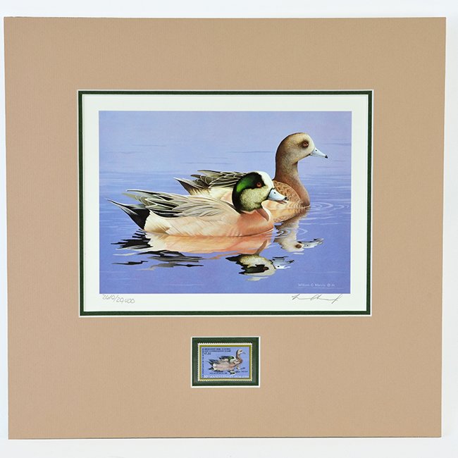 William C. Morris (b. 1945), 1984 Waterfowl Stamp: William C. Morris (b. 1945), 1984 Federal Migratory Waterfowl Stamp celebrating 50 years of waterfowl conservation, Color lithograph, 8 x 10 Â½ inches (sight)_x000D_ Numbered 2,610/20,400, signed lo