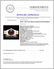 Rolex DateJust Diamond 36mm Wristwatch - 10