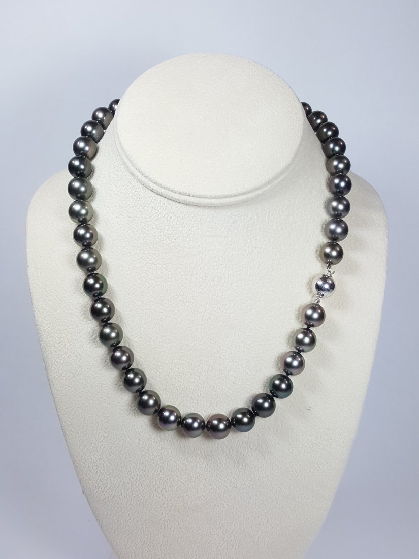 A Black South Sea Pearl Necklace: A Black South Sea Pearl Necklace approx. 10mm, and 17 inches long.
