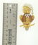 A vintage 18k gold and diamond night owl brooch with - 5