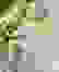 item-54585512=5