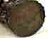 item-61409912=7