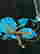item-62061333=4