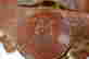 item-62061362=2