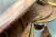 item-62061362=5