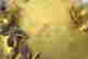 item-62061400=12