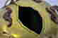 item-62061400=7