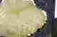 item-70690096=5