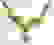 item-72208596=2