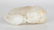 Chinese Carved White Jade Figure of Beast - 5