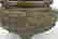 item-99393953=2