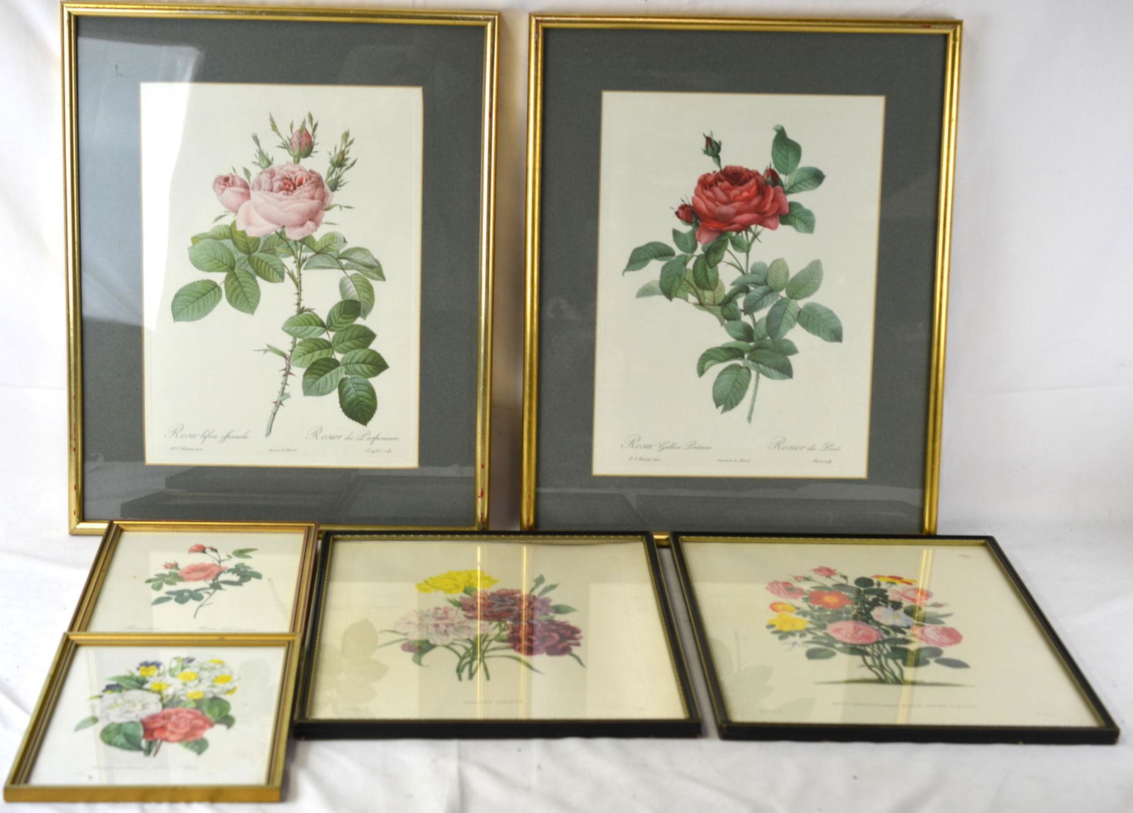 Six Framed Still Live Prints (1 of 12)