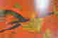 item-131181526=7