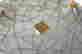 item-131181613=11