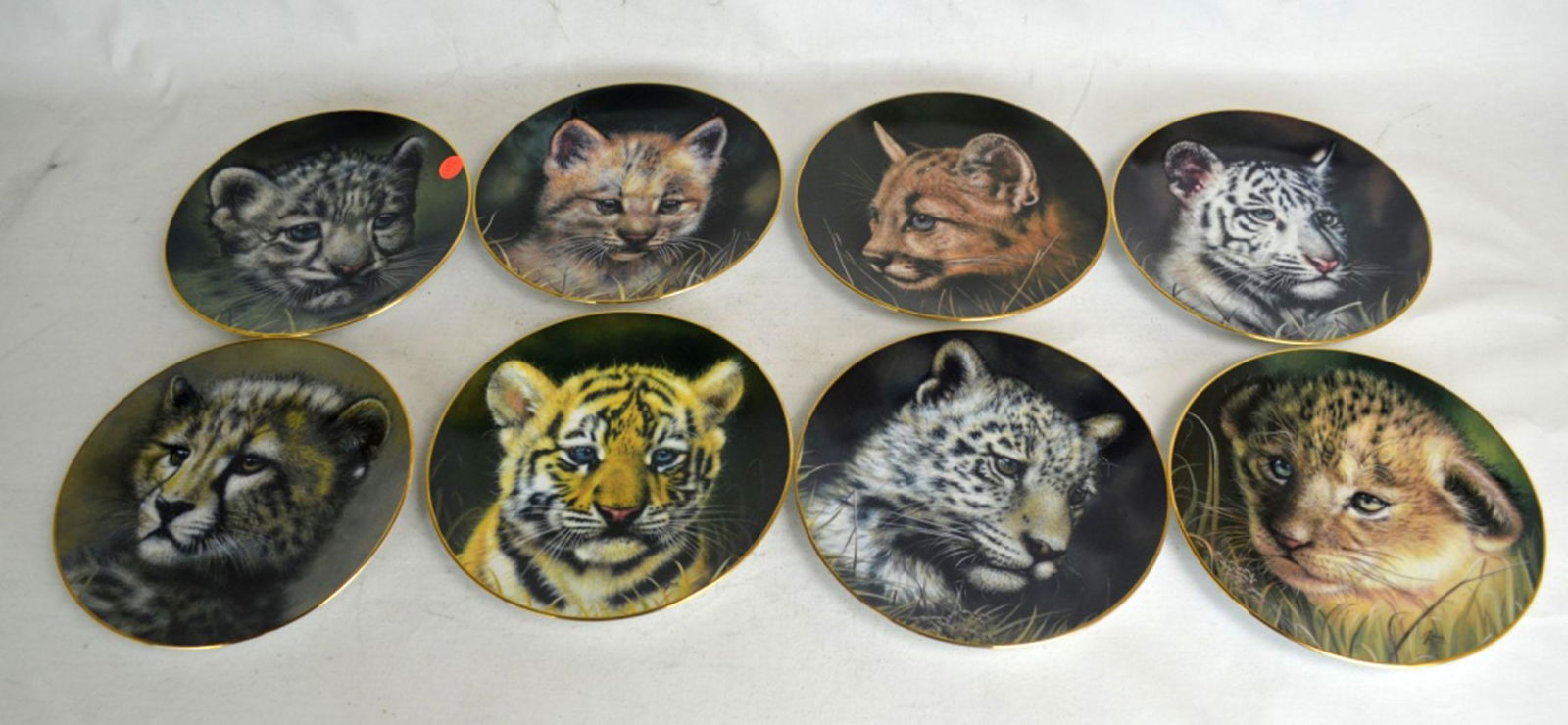 8 Pcs Princeton Gallery Collector Plates By Lua: Eight Pcs of Cubs of the big cats plate collection original works of art by Lua, crafted in fine porcelain and rimmed with 24K gold. the plates are hand-numbered limited editon. with certificate dia :
