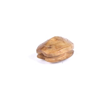 Chinese Brownish Jade Turtle Shell