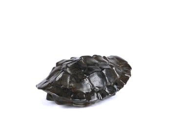 A Celadon & Grey Jade Turtle's Shell Pendant