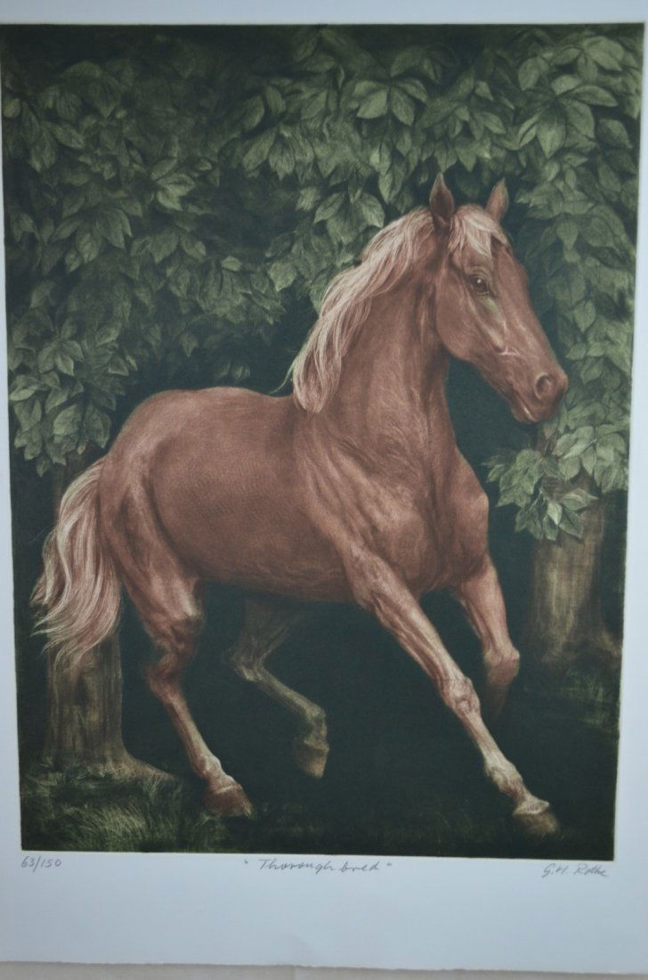 G.H. Rothe, "Thoroughbred", Mezzotint etching: G.H. Rothe, "Thoroughbred", 1977 Mezotint etching. Limited edition 63/150 Signed. Image:22"x30"