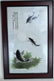 Signed Wood Framed Chinese Porcelain Plaque