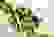 item-50197427=6