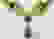 item-50197428=3
