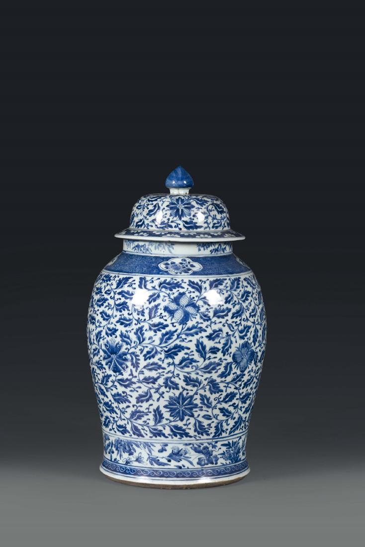 A potiche in white and blue porcelain with a plant (1 of 1)