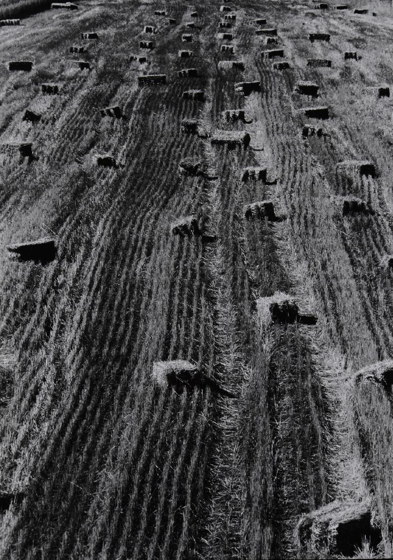 Gabriele Basilico (1944-2013), Senza Titolo: black and white print, cm 36x25,8 Stamp of the artist on the back