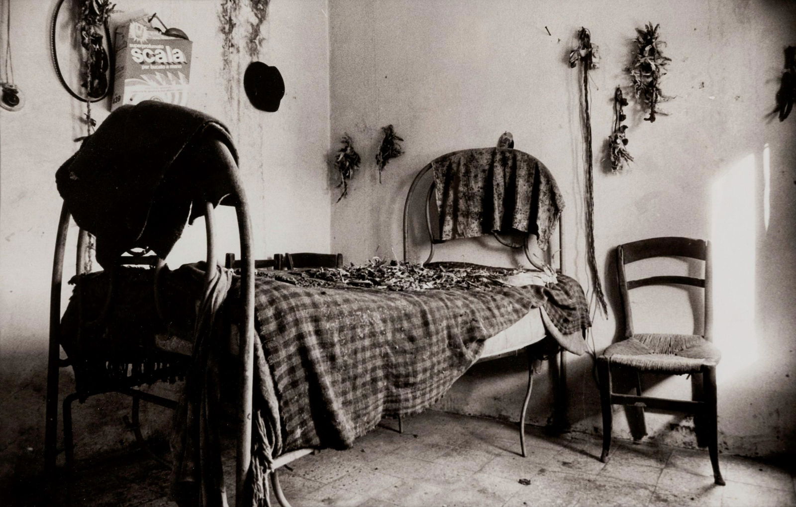 Antonio Biasiucci (1961), Roschignon, 1982: stampa fotografica in b/n con cornice, cm 22x32,6 firmata in basso a destra sul passpartou