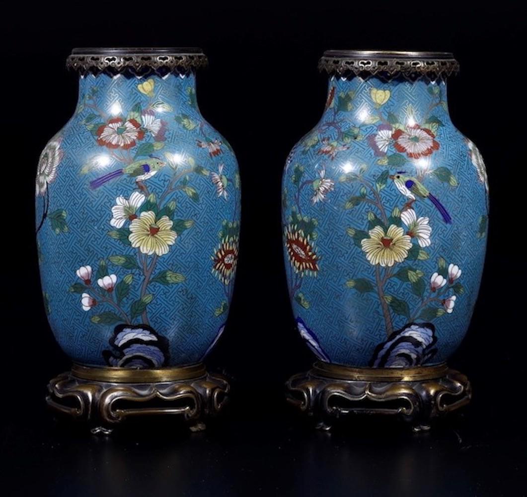 Two cloisonnÃ© vases, China, Qing Dynasty (1 of 1)