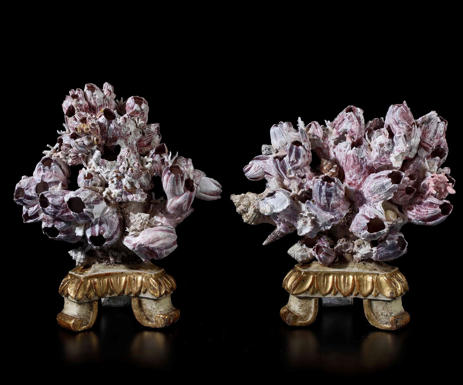 Coppia di Decorazioni Marine, (1 of 1)