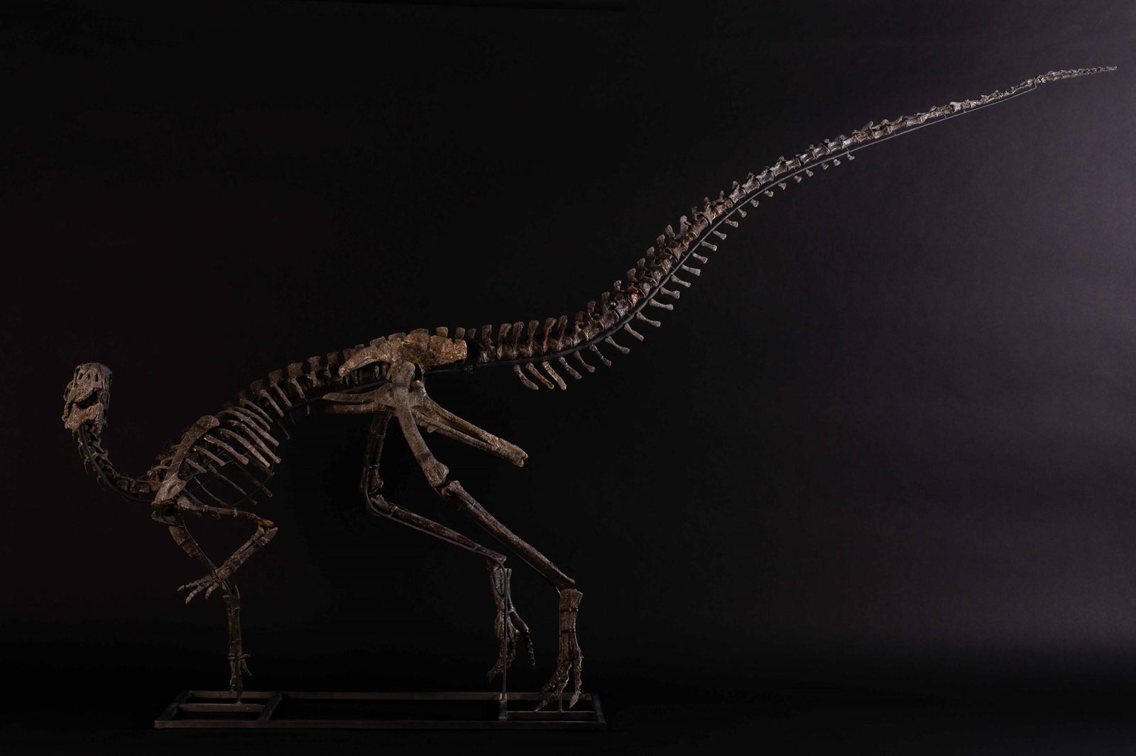 Download Njwdrbcgk528jm