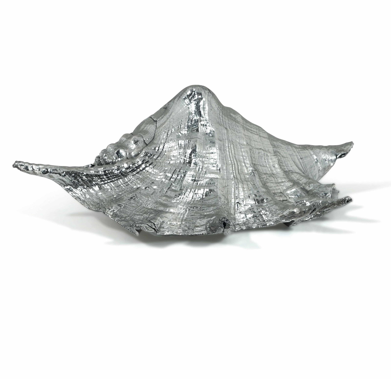 Grande conchiglia con rivestimento in argento, Mario: cm 31