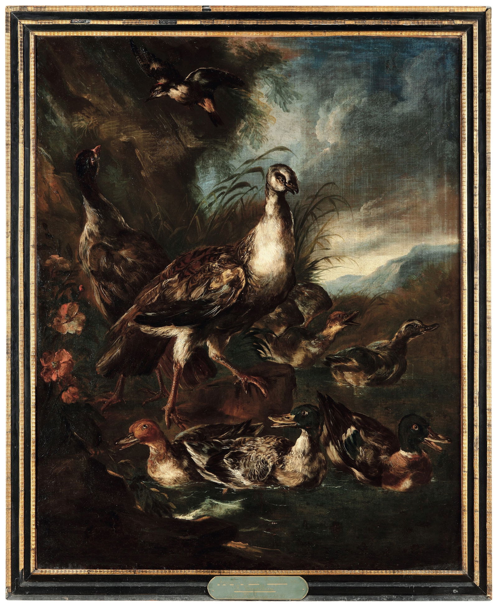 Angelo Maria Crivelli ? Milano-1730 Milano Paesaggio con anatre e altri volatili: .