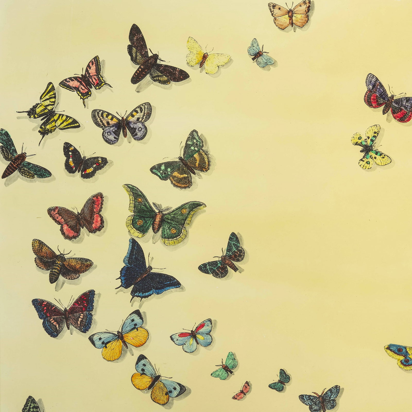Piero Fornasetti Decorative panel: Wooden structure, brass frame. Screen-printed wood with Butterfly decor. From a private collection - Milan. Fornasetti, Italy, c. 1950. B. Fornasetti, Fornasetti La Bottega Fantastica, p. 435,