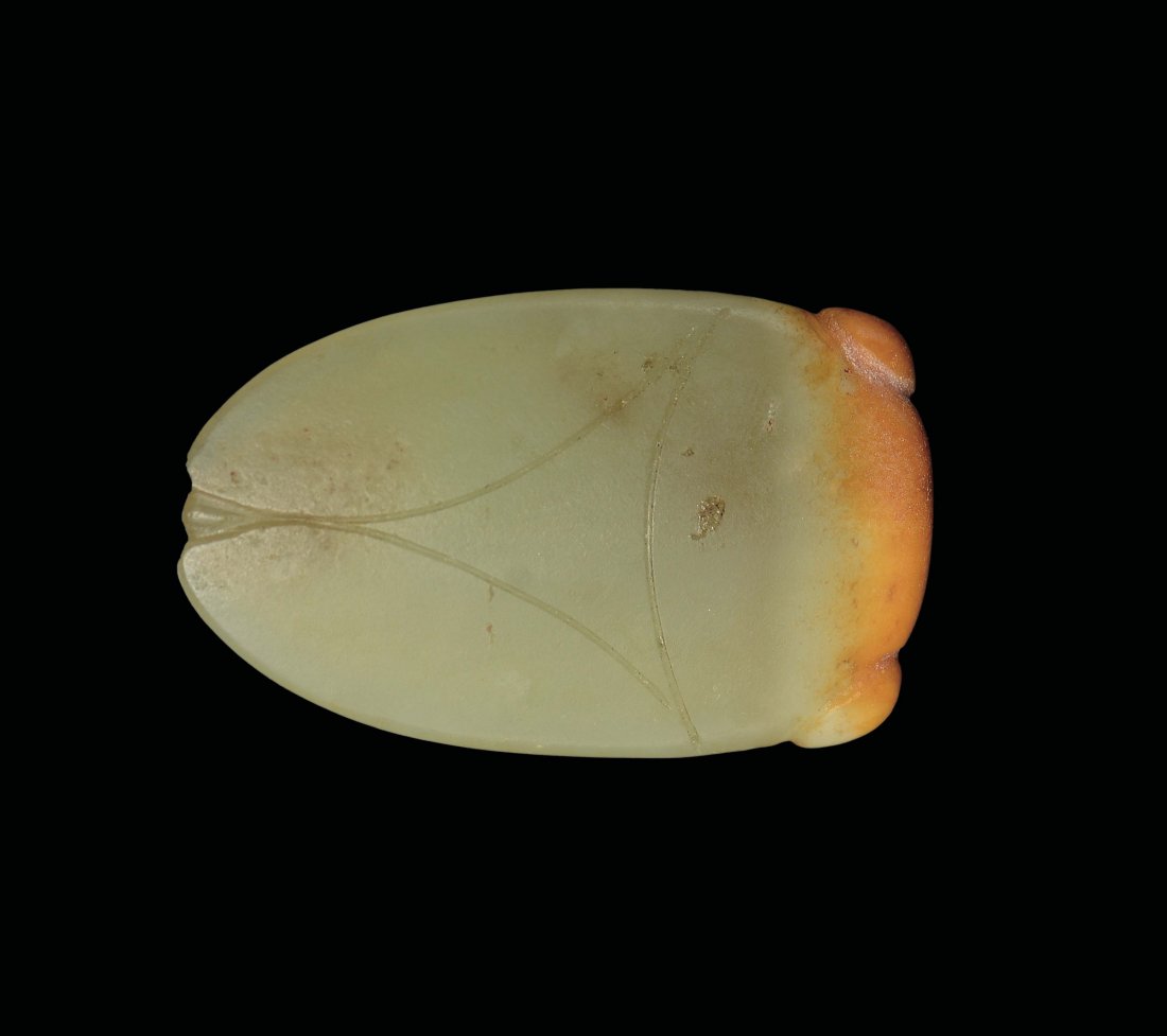 A yellow jade carving of cicada, China, Tang Dynasty (1 of 1)