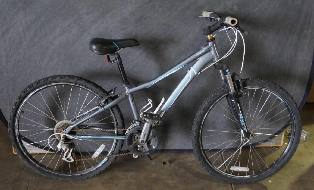 raleigh eva 3.0