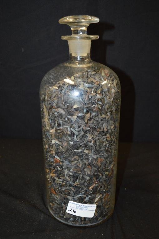 APOTHECARY JAR FULL OF SHARK'S TEETH LOADED WITH 10: APOTHECARY JAR FULL OF SHARK'S TEETH LOADED WITH 1000'S OF TEETH