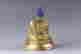 item-20090248=2