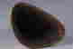 item-20090248=7