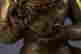 item-20090590=3