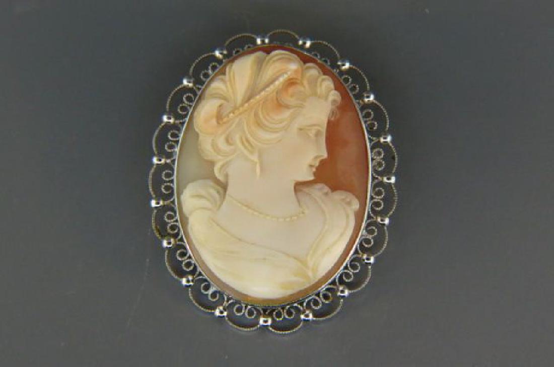 Carved Cameo Brooch or Pendant, (1 of 3)