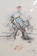 Salvador Dali Print "Five Continents with Nations"