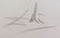 Salvador Dali Print "Five Continents with Nations" - 4