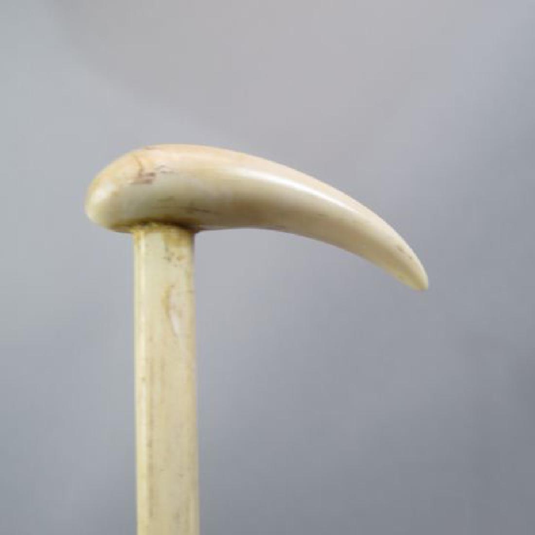 Inuit Whale Bone Cane,: 34" long
