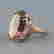 item-78442362=3