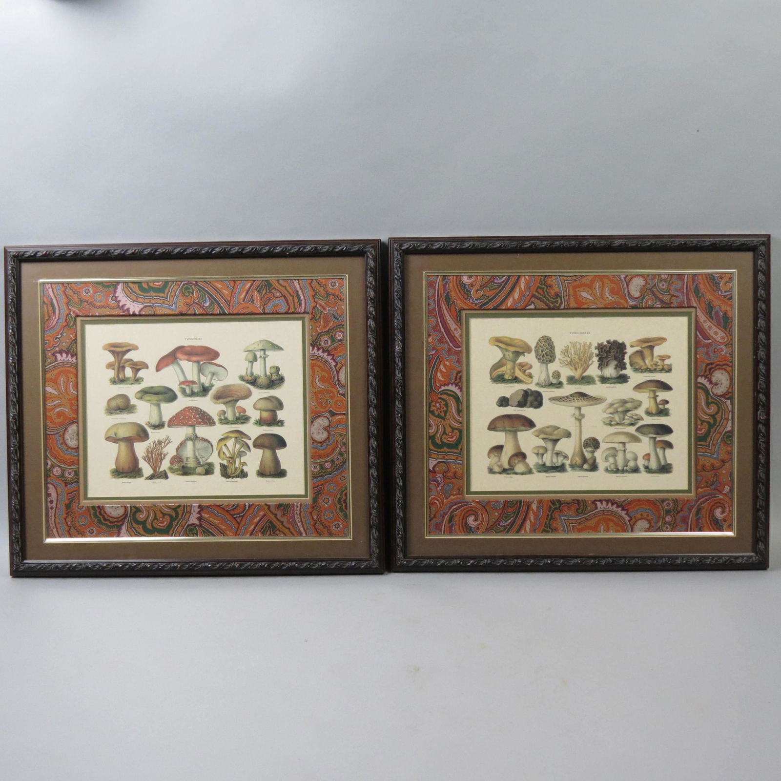 Pair of hand Colored Lithographs of Mushrooms, (1 of 3)