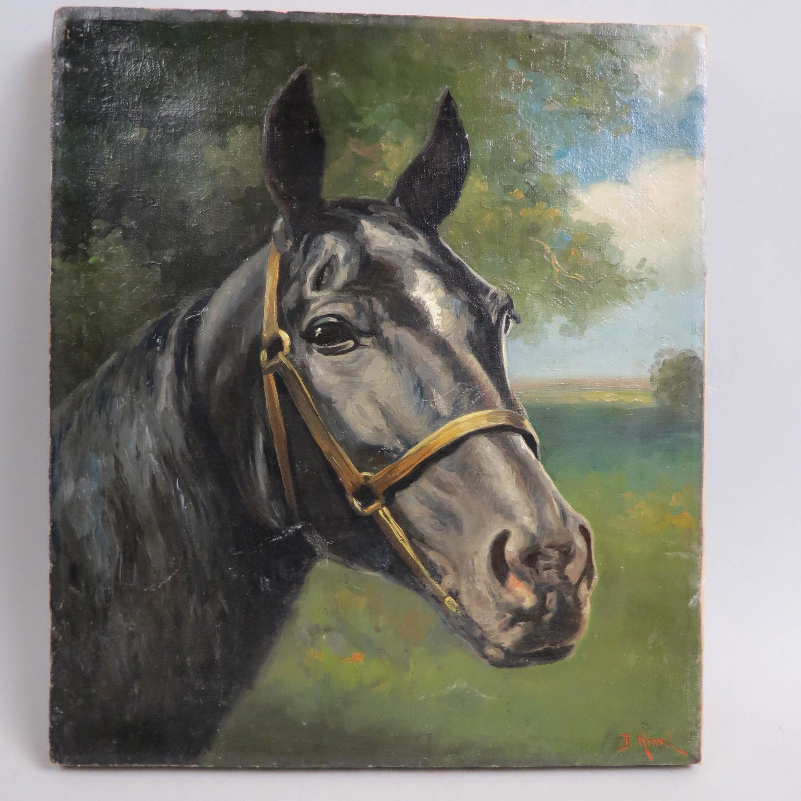 D. Hensel, oil, "Black Jack", famous horse, (1 of 7)