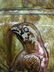 389A: Victorian Majolica Pottery Pitcher, raised bird - 4